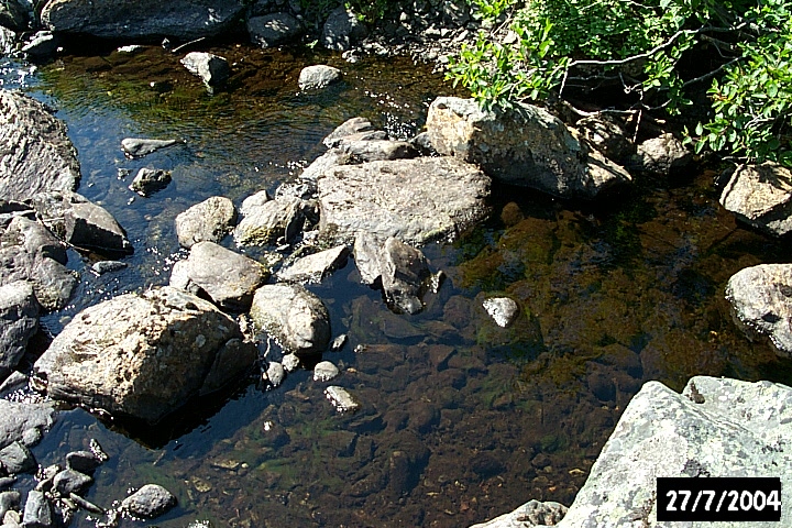 Rock dam feature in the stream at Sleepy Cove.